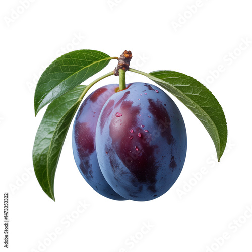 Fresh ripe marian plum with leaves Isolated on white and transparent background