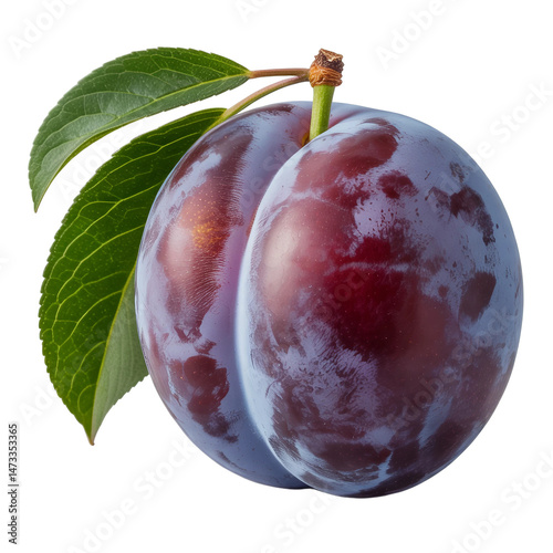 Fresh ripe marian plum with leaves Isolated on white and transparent background