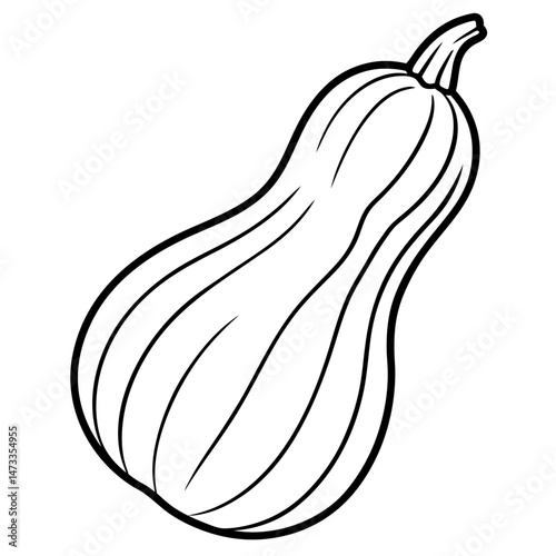 Minimalist Butternut Squash Vector Line Art
