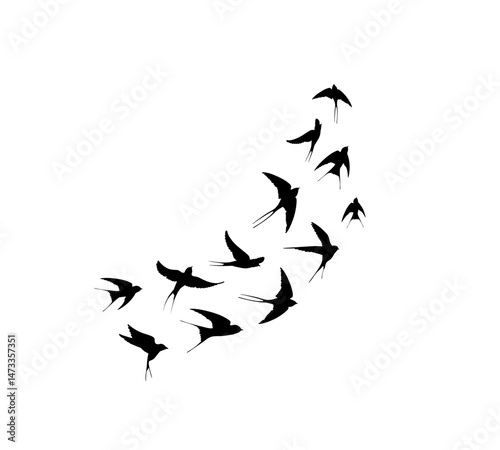 A flock of swallows silhouetted against the sky in graceful flight. Wild Birds Unlimited: your source for bird food, feeders, and expert feeding advice.
