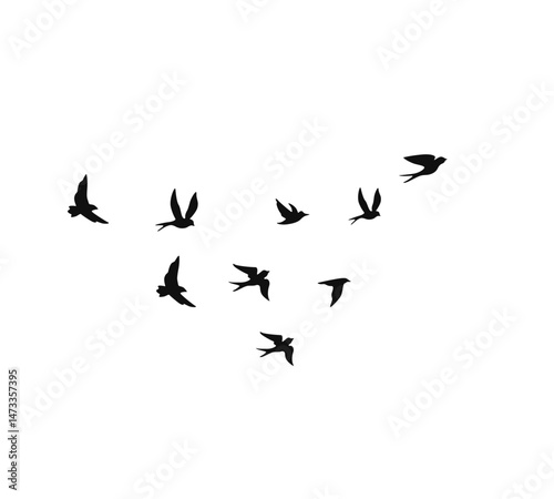 A flock of swallows silhouetted against the sky in graceful flight. Wild Birds Unlimited: your source for bird food, feeders, and expert feeding advice.