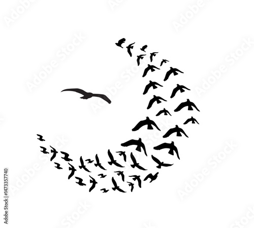 A flock of swallows silhouetted against the sky in graceful flight. Wild Birds Unlimited: your source for bird food, feeders, and expert feeding advice.