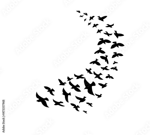 A flock of swallows silhouetted against the sky in graceful flight. Wild Birds Unlimited: your source for bird food, feeders, and expert feeding advice.