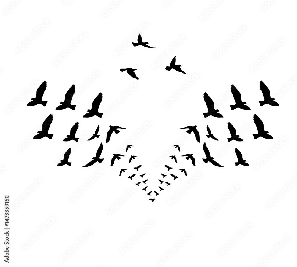 Fototapeta premium A flock of swallows silhouetted against the sky in graceful flight. Wild Birds Unlimited: your source for bird food, feeders, and expert feeding advice.
