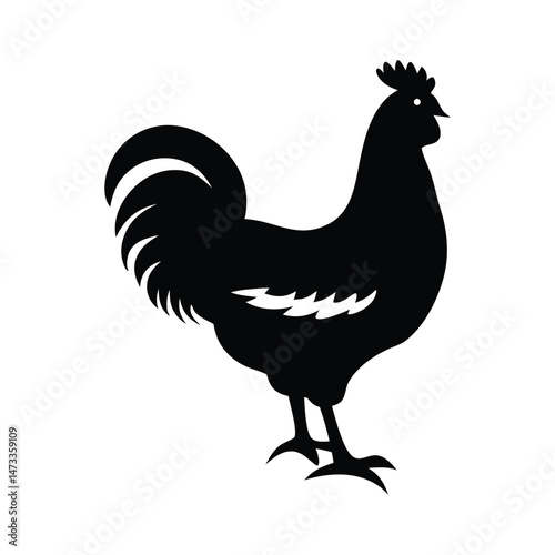Chicken silhouette vector set on white background  
