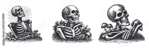Detailed Illustration of Three Unique Vintage Skeleton Designs