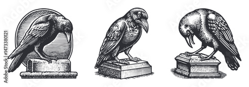 Vintage Black Raven Illustrations in Detailed Engraving Style