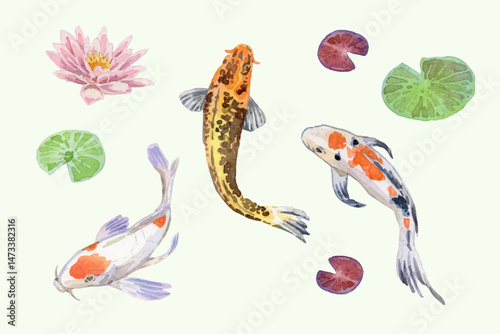 Watercolor hand drawn koi fish collection