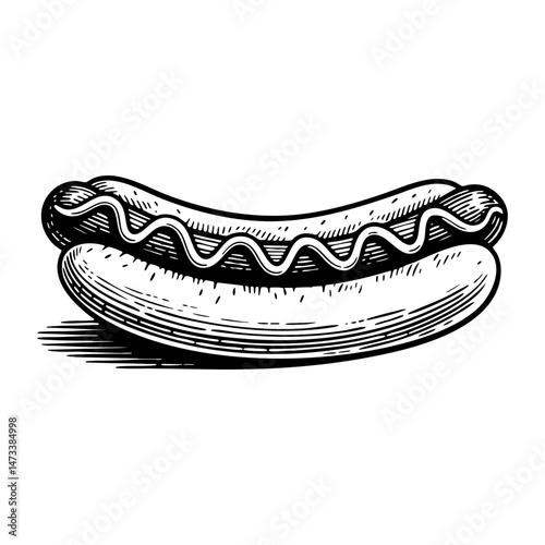 Hot dog sketch engraving black and white outline. Scratch board imitation. Illustrated in vintage line art style on a white background.