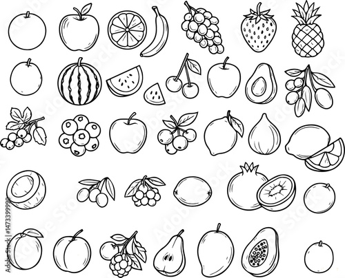 Realistic Fruits Line Art Set