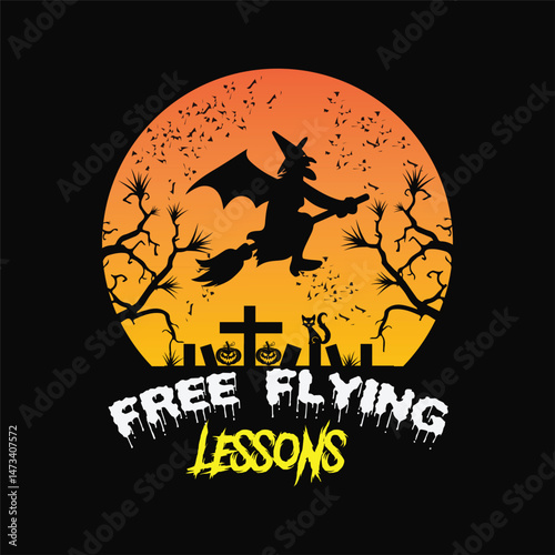 Free flying lessons 11