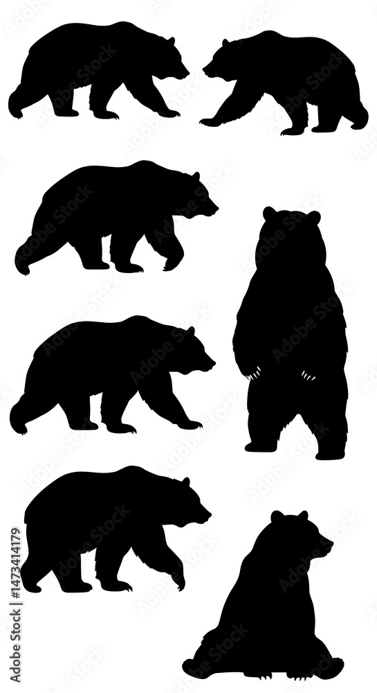 Fototapeta premium Bear Shadow Dance