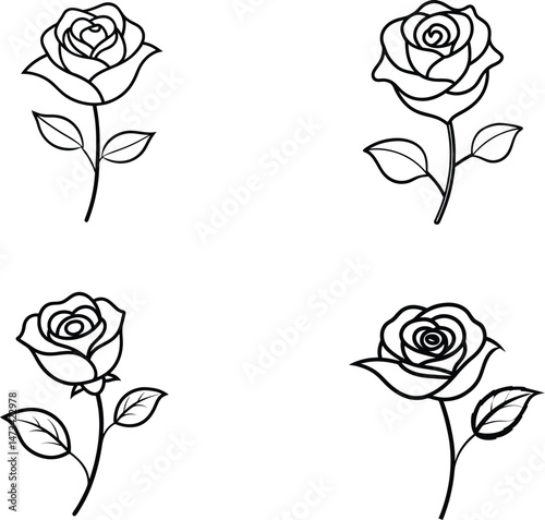 vector illustration of a rose