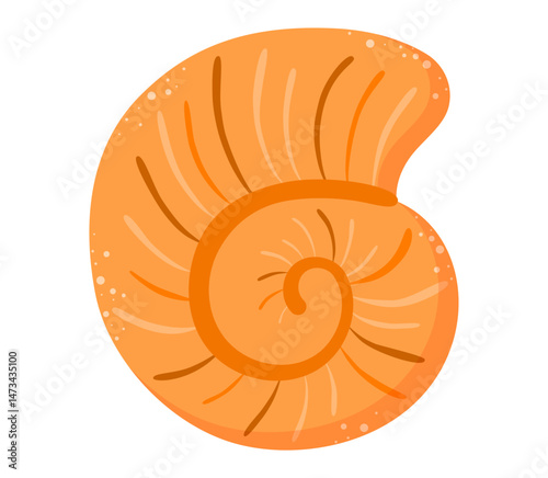 seashell orange animal clipart beach summer illustration