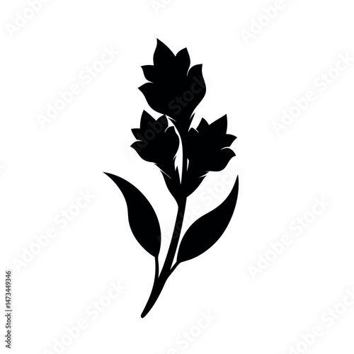 Gladiolus Flower Black Vector Silhouette Art