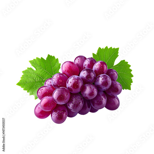 Freshly harvested bunch of red grapes with water droplets and vibrant green leaves isolated on a sleek black background