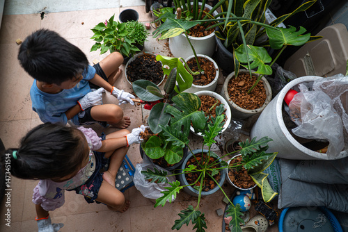 Adorable kids boy and girl plant tree in pot of town home