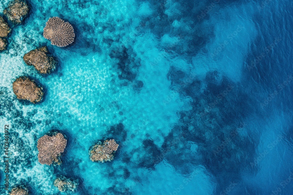 Obraz premium Aerial view of vibrant coral reefs in crystal clear blue waters of tropical paradise, Aerial view of coral reef in clear blue water
