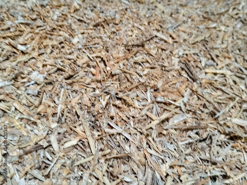 Coarse sawdust from wood chips. Coarse sawdust from wood chips.