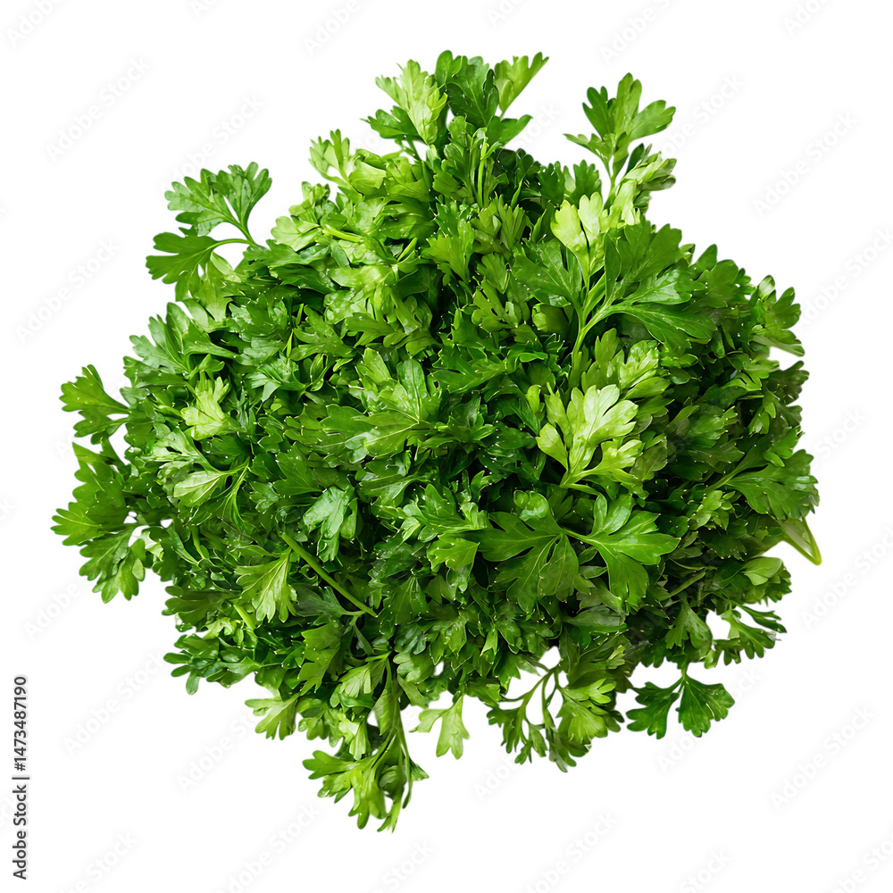Fototapeta premium Parsley pile png