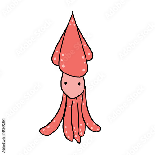 Squid