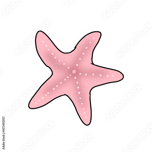 Sea star