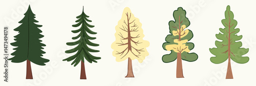 Set of five stylized hand drawn conifer and pine trees with varied shapes and colors in flat minimalist vector illustration style for nature and forest designs