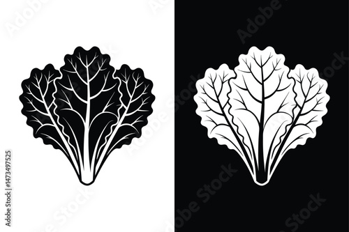 Lettuce vegetable vector glyph icon silhouette vector illustration design black white
