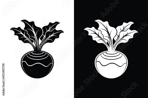 Minimal Kohlrabi Vector Icon silhouette. Isolated Vegetable Design for Logos