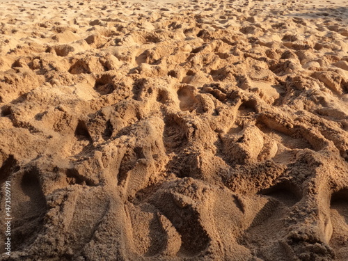 close up of a sandbeach