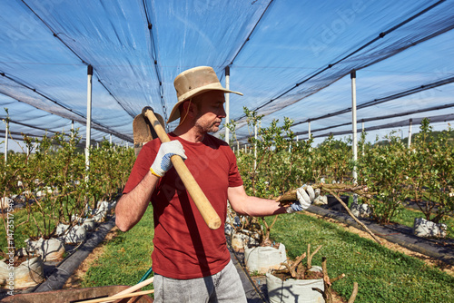 A male gardener with hat working with hoe in a blueberries organic farm.