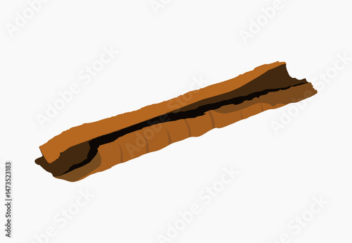 Cinnamon spice stick flat illustration design