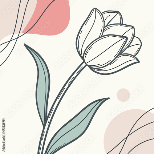 Delicate Tulip Blossom in Pastel Colors