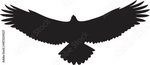 Single eagle silhouette in dynamic flight isolated white