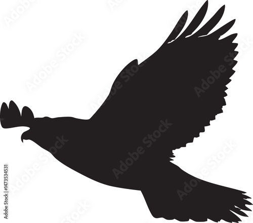 Single falcon silhouette diving isolated white