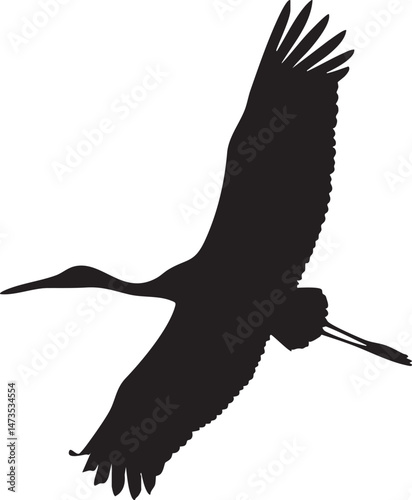 Single stork silhouette soaring isolated white background
