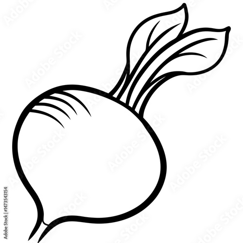 Stylized Turnip Vector Illustration