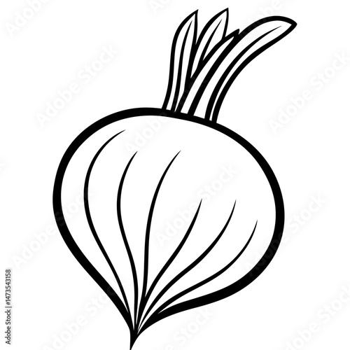 Stylized Turnip Vector Illustration