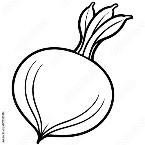 Stylized Turnip Vector Illustration