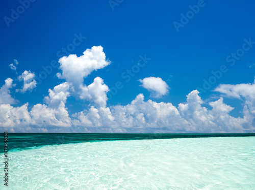 Fototapeta Naklejka Na Ścianę i Meble -  Beach and sea. Tropical beach. Blue sea and blue sky. Blue sky over calm sea