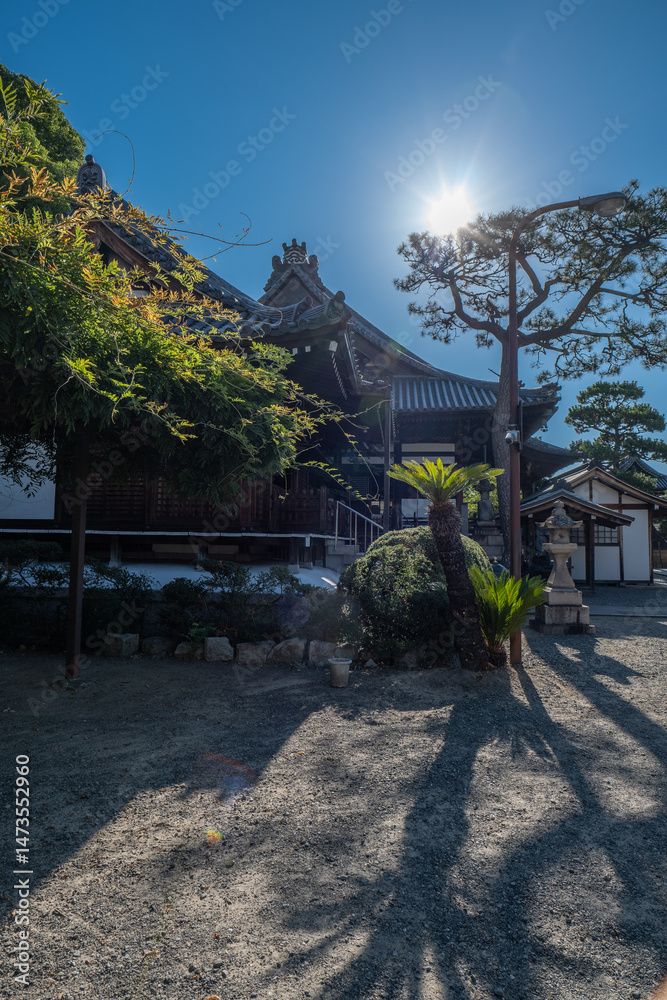 Obraz premium 日本、大阪府、葛井寺、寺院、佛寺、佛教、文化財、木造建築、古代建築、日本文化、歷史名勝、青空、木、綠色、旗幡