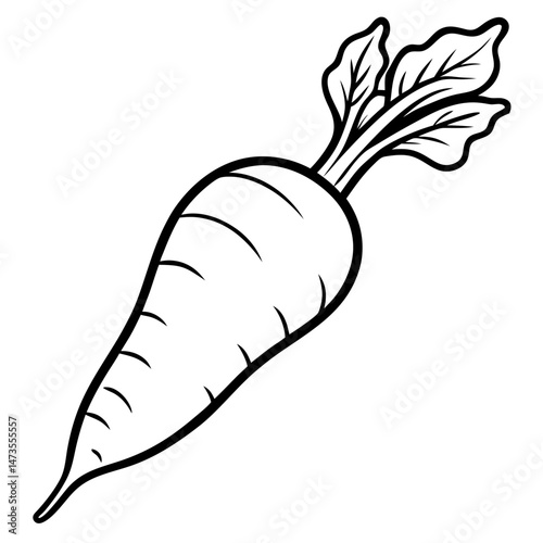 Minimalist Parsnip Vector Illustration