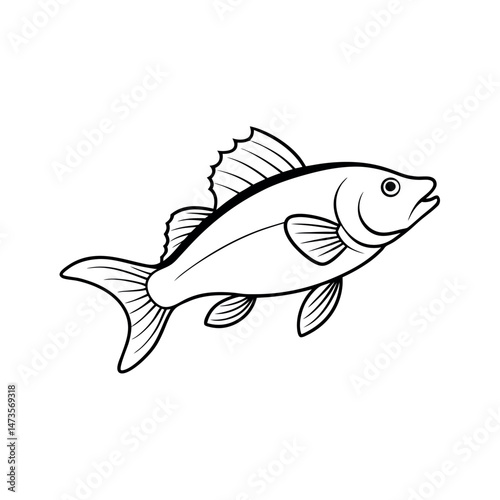 Climbing Perch Underwater Fish Line Art