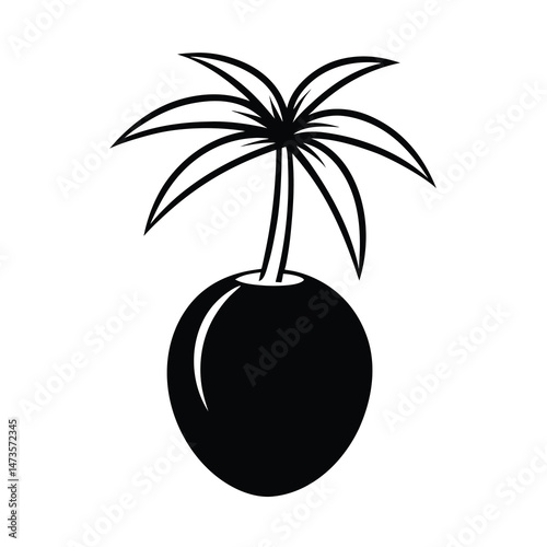 black vector silhouette tropical coconut drawing