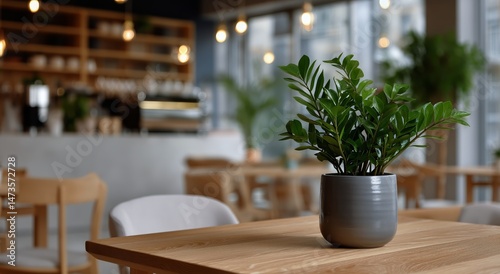 Modern Cafe Interior With Greenery and Cozy Seating During Daylight Hours