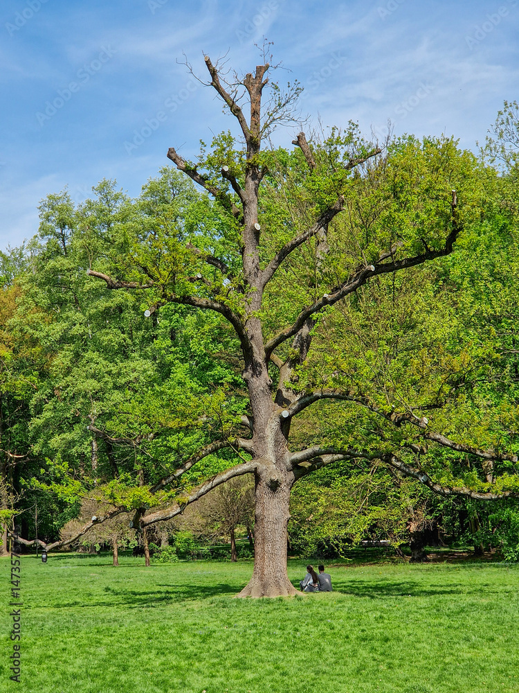 Fototapeta premium Kalisz the oldest city in Poland.