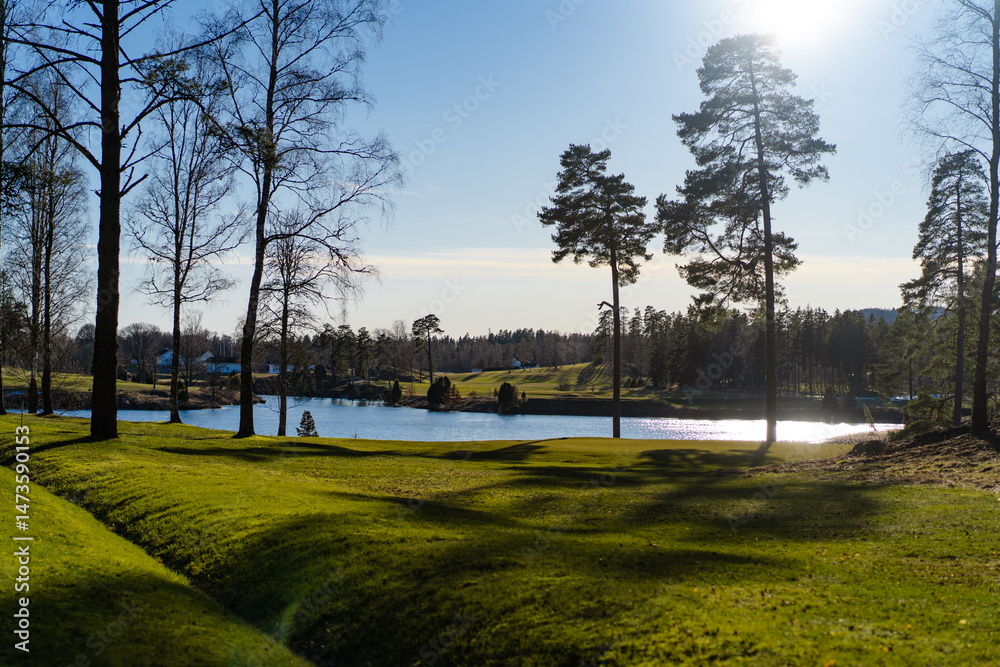 Obraz premium Lake with Bare Trees