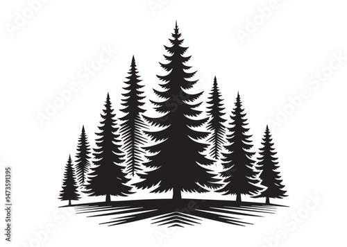 Fir Trees Silhouette Vector
