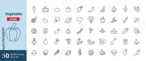 Vegetables Icons Set. Healthy Eating, Vegan Food, Weight Loss, Organic Food, Carrot, Lemon, Tomato, Chili, Cucumber, Potato Icons Editable Stroke Vector Illustration