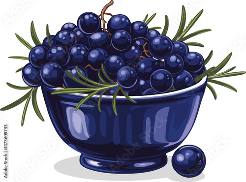 Juniper Berries and Rosemary in a Blue Bowl illustration